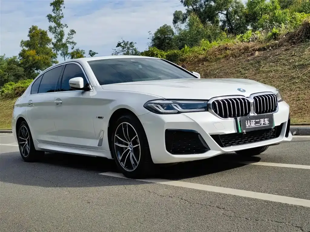 BMW 5 Series New Energy — фото 3