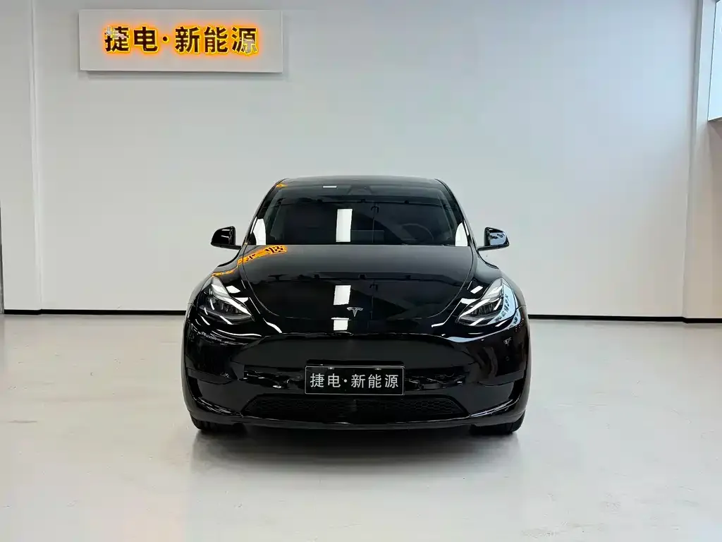 Tesla Model Y — фото 2