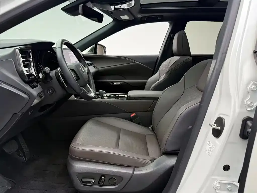 Lexus RX — фото 10