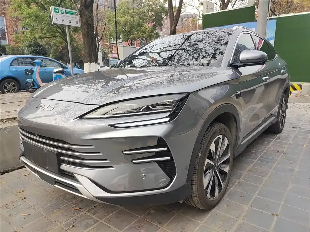 BYD PLUS New Energy — фото 1