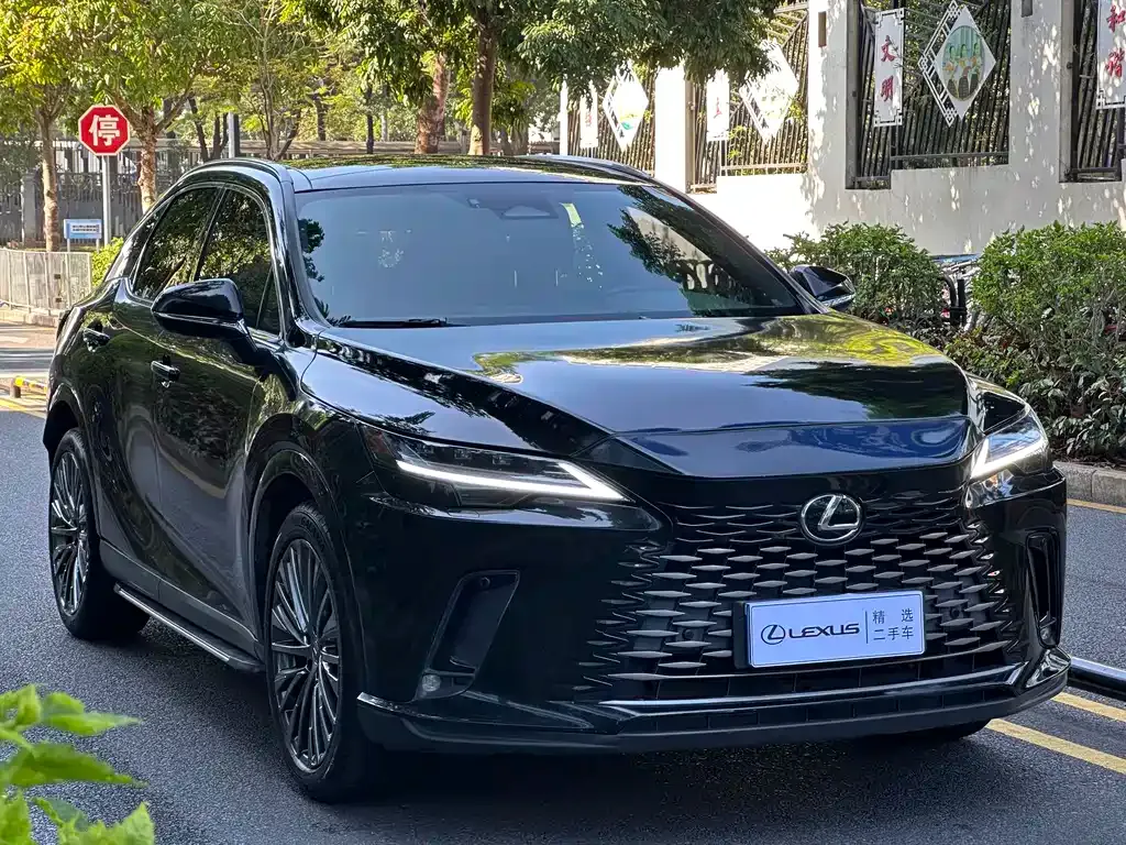 Lexus RX — фото 9