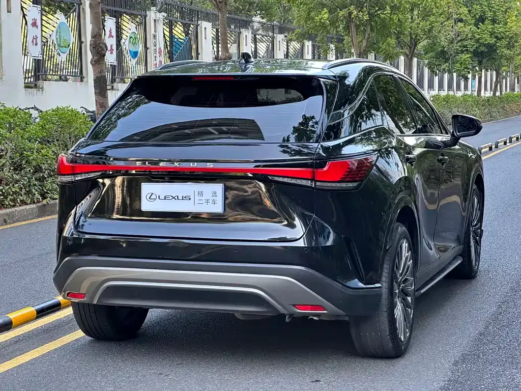 Lexus RX — фото 10