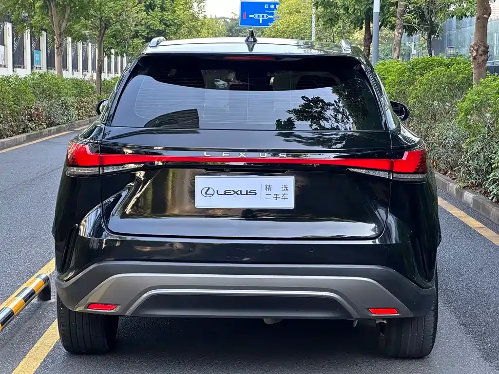 Lexus RX — фото 8