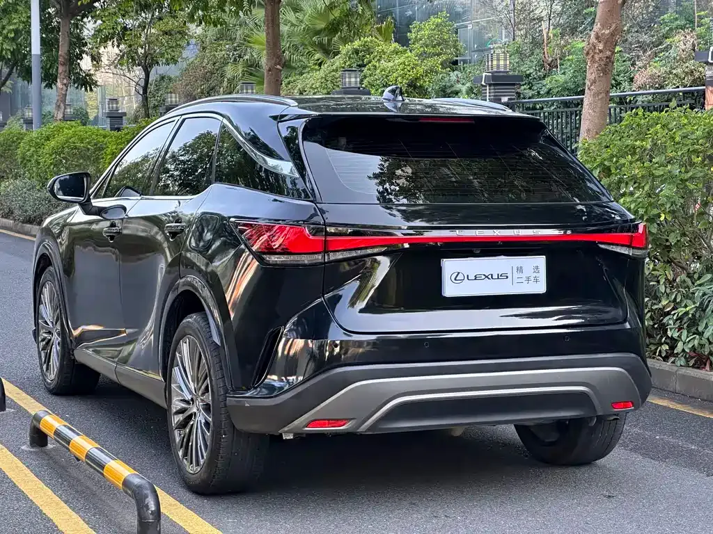 Lexus RX — фото 5