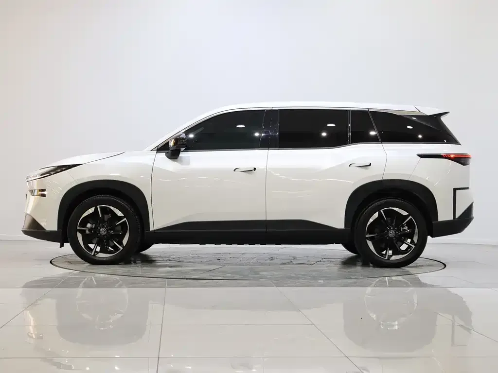 Toyota Platinum 3X — фото 2