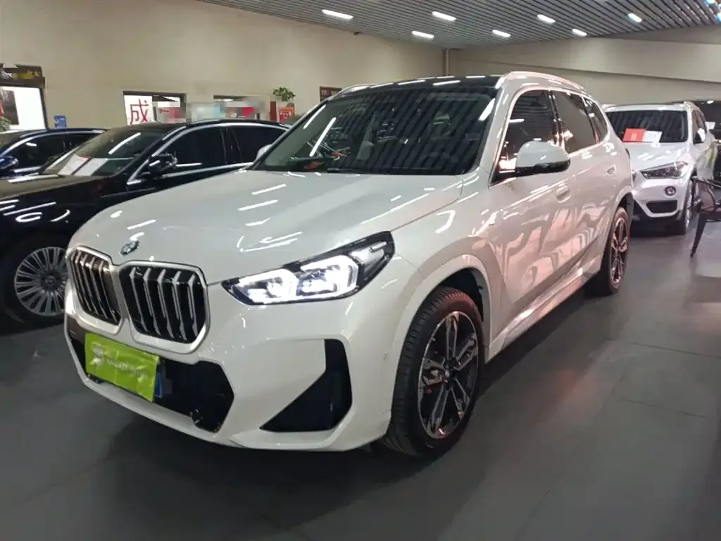 BMW X1 — фото 1
