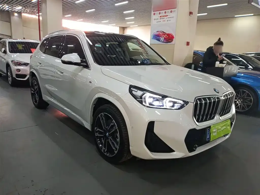 BMW X1 — фото 10