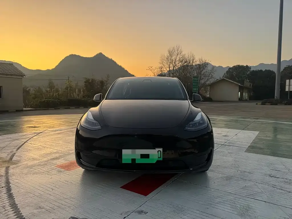 Tesla Model Y — фото 8