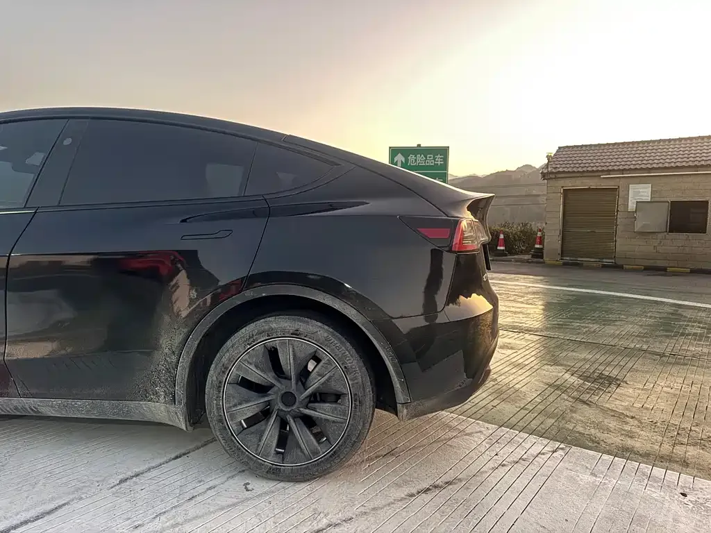 Tesla Model Y — фото 9