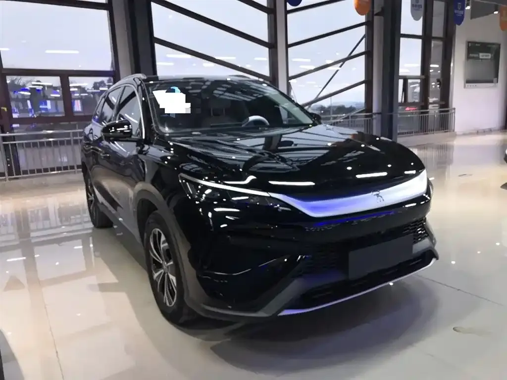 BYD Pro New Energy — фото 4
