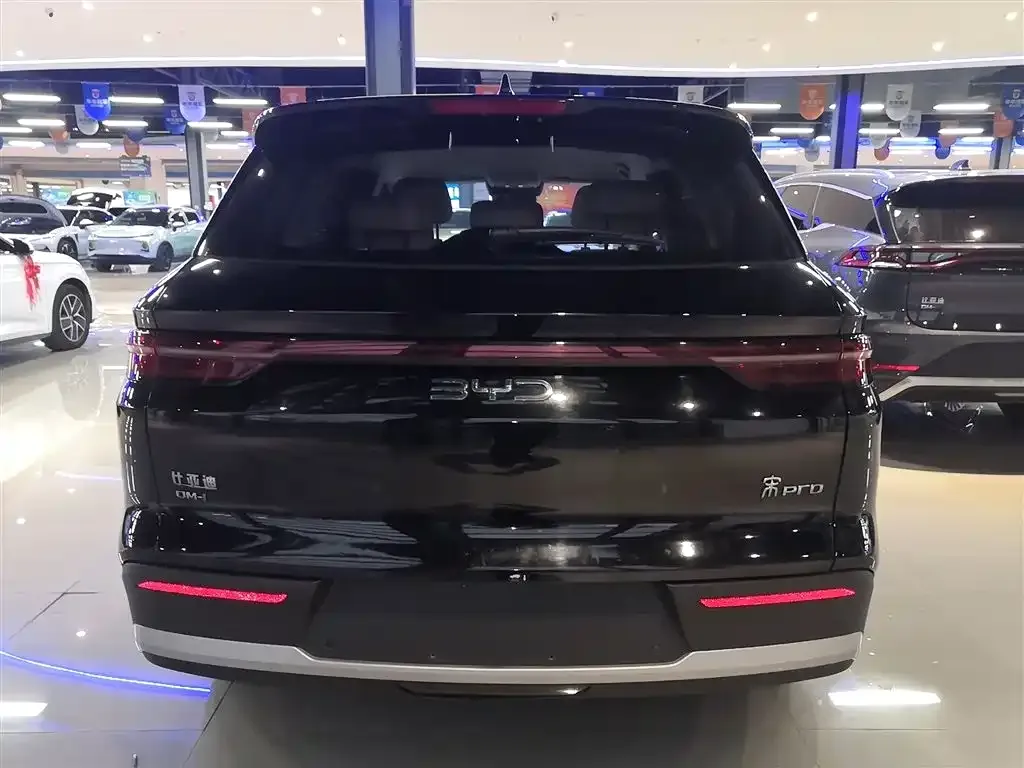 BYD Pro New Energy — фото 3