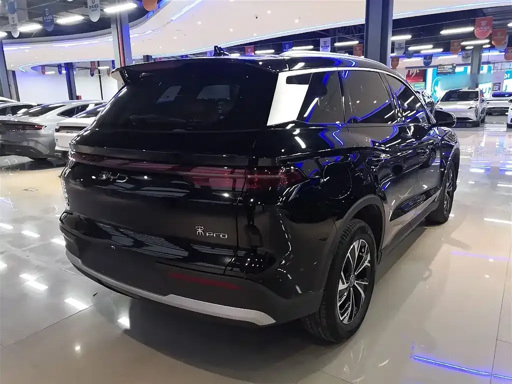 BYD Pro New Energy — фото 9