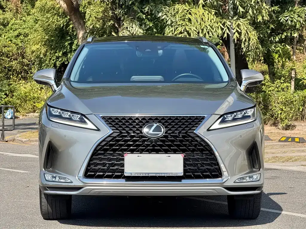 Lexus RX — фото 8