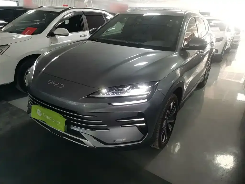 BYD PLUS New Energy — фото 1