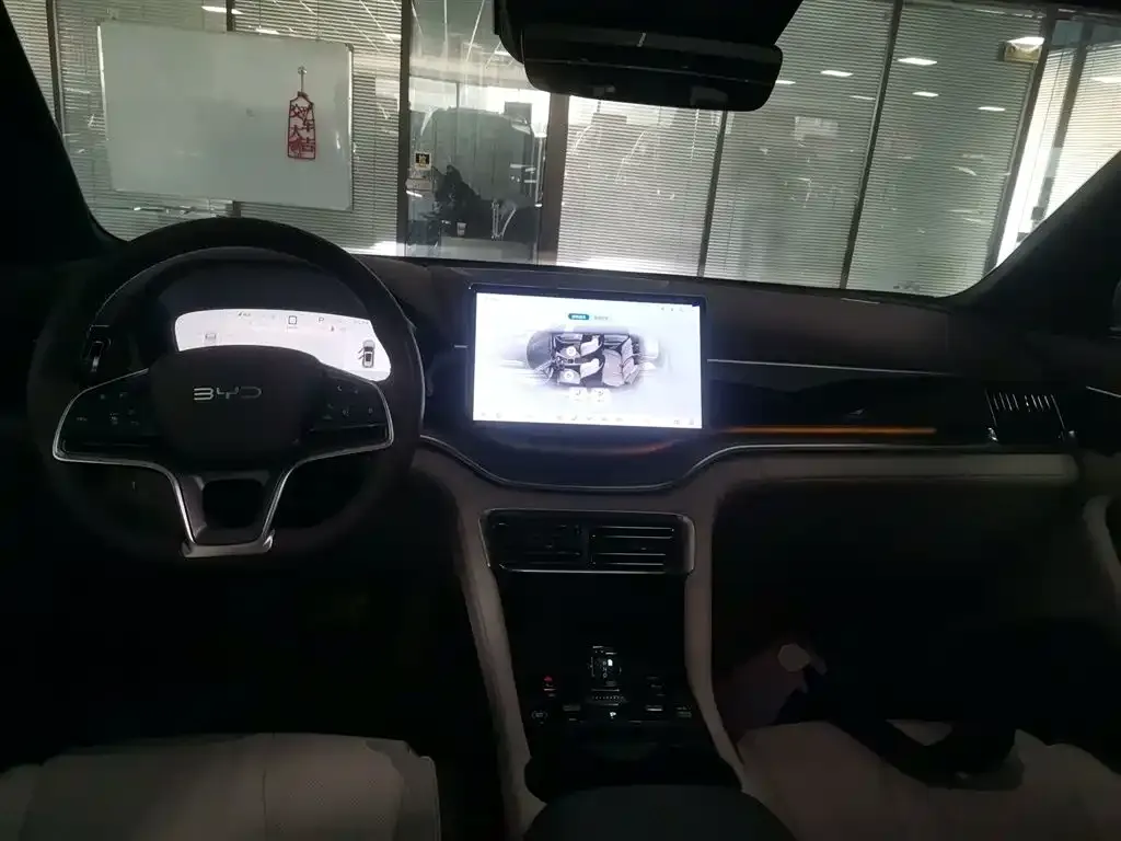 BYD PLUS New Energy — фото 10
