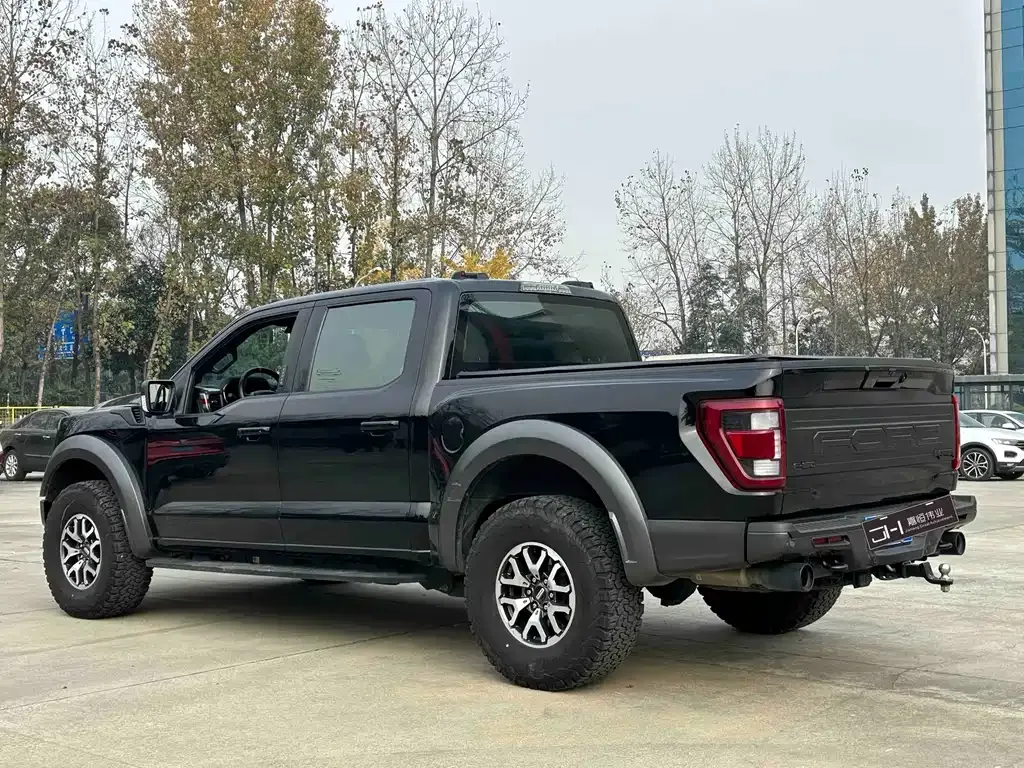 Ford F-150 Raptor — фото 8