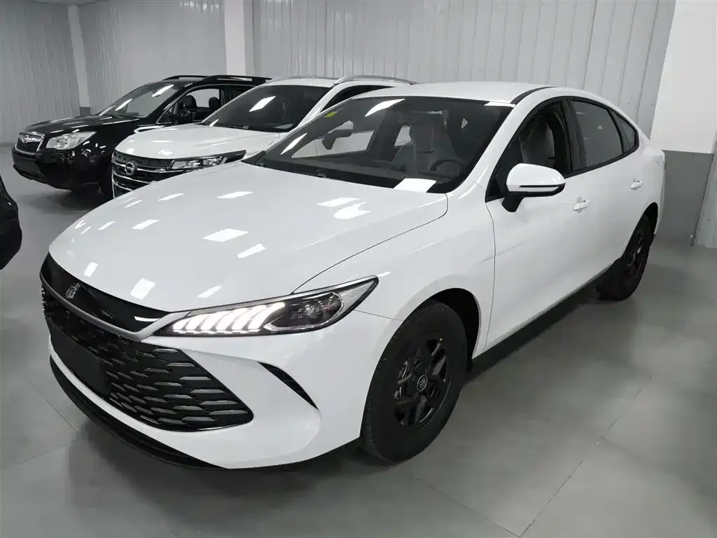 BYD Qin PLUS — фото 1