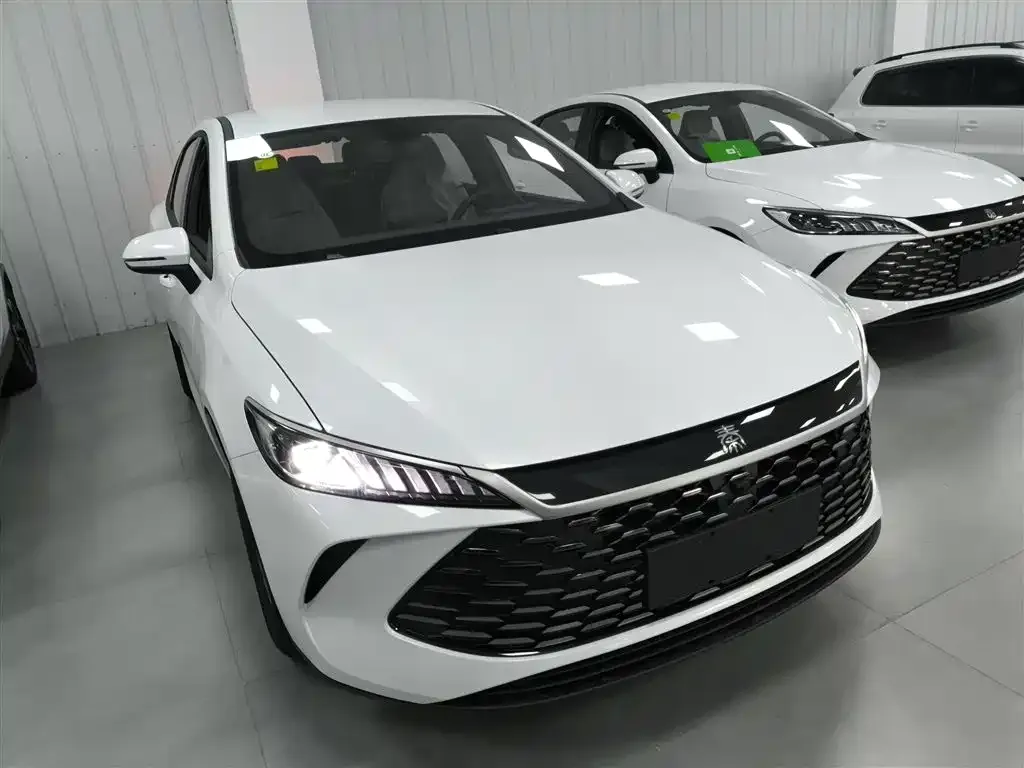 BYD Qin PLUS — фото 4