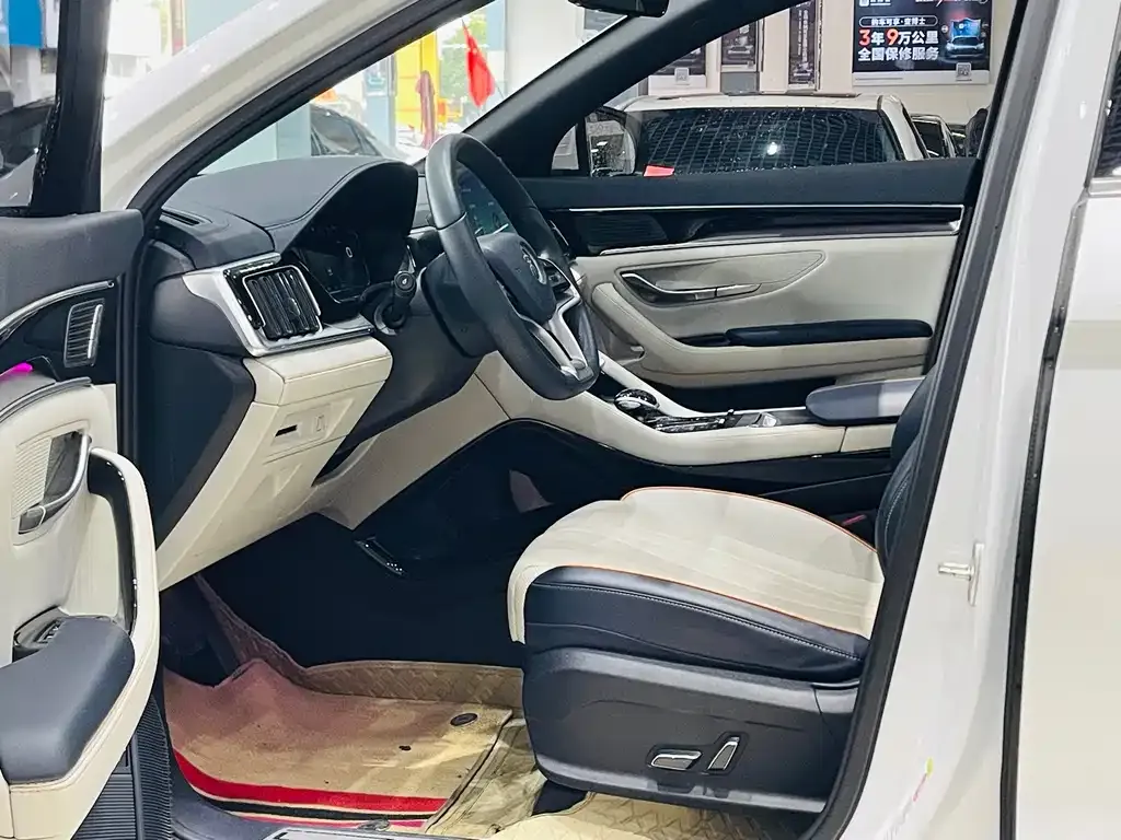 BYD PLUS New Energy — фото 10