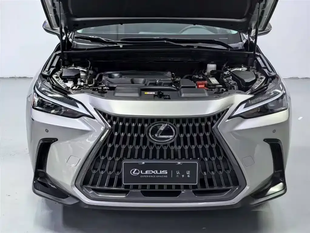 Lexus NX — фото 8