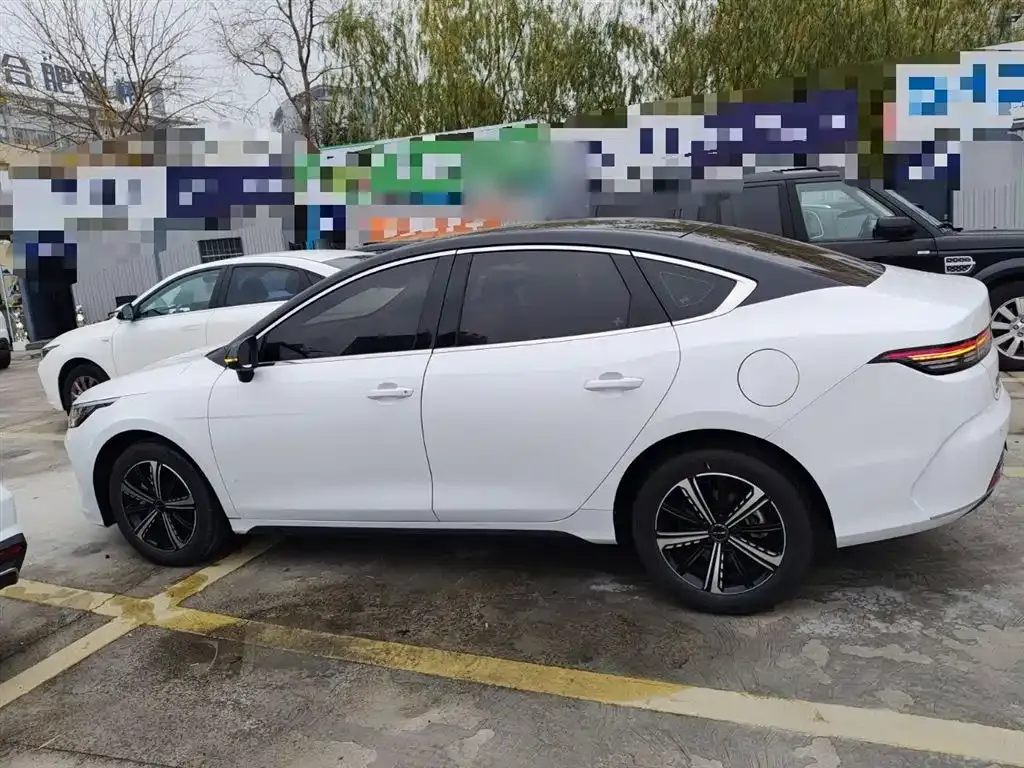 BYD Destroyer 05 — фото 10