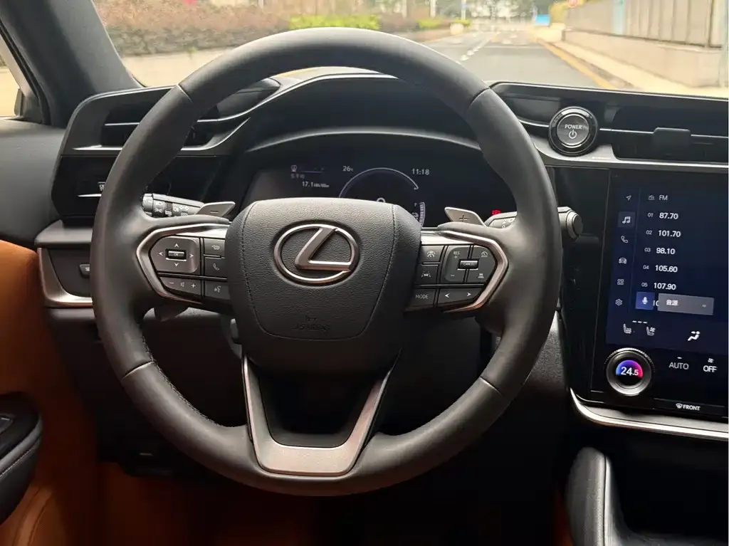 Lexus RZ — фото 6