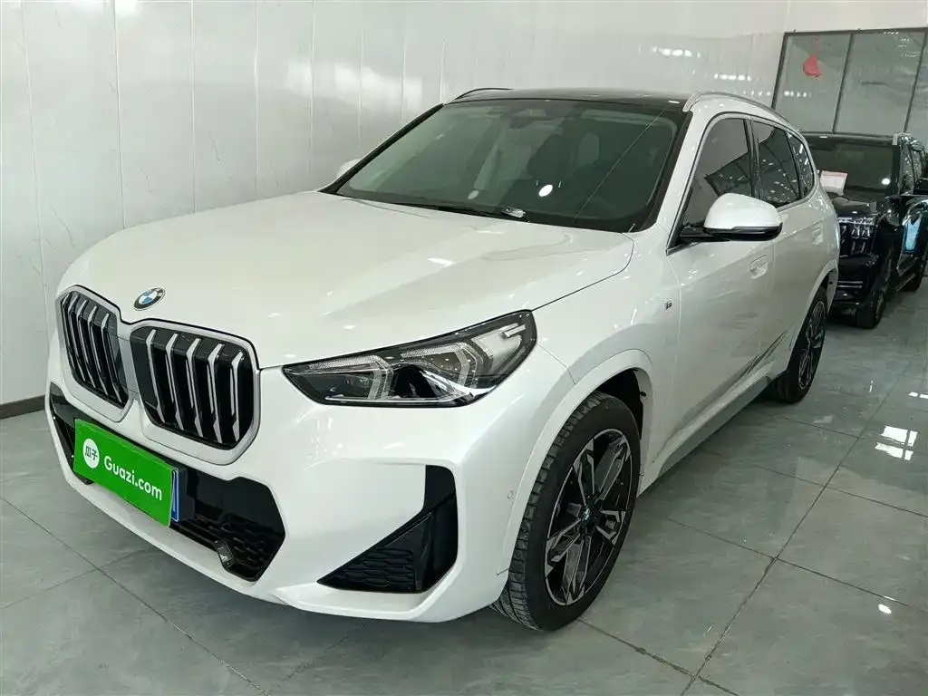 BMW X1 — фото 1