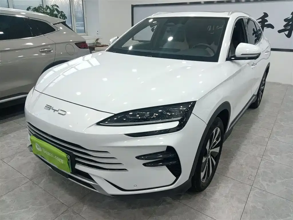 BYD PLUS New Energy — фото 1
