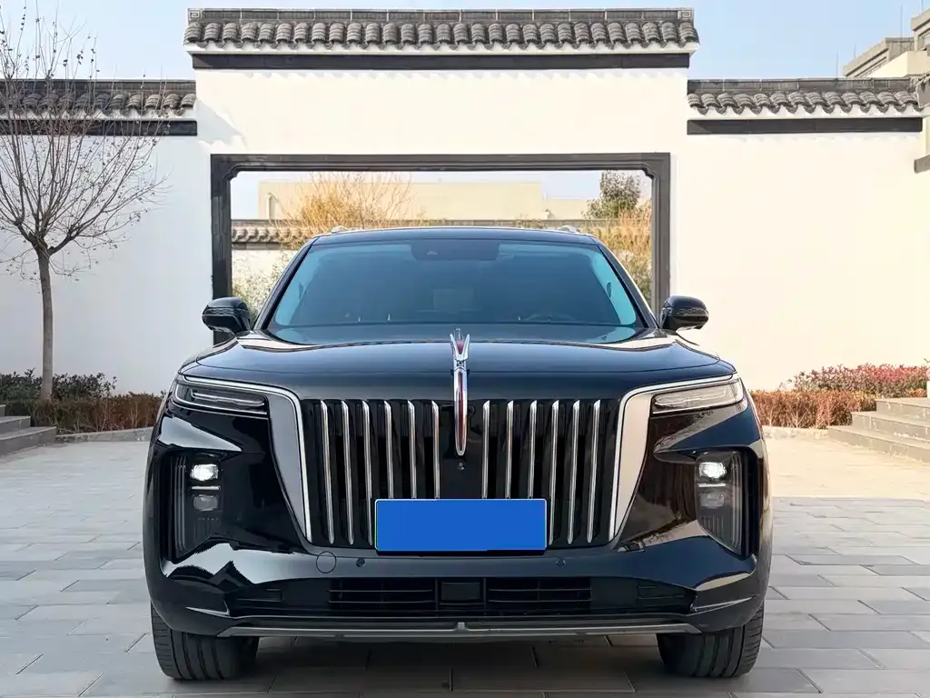 Hongqi E-HS9 — фото 4