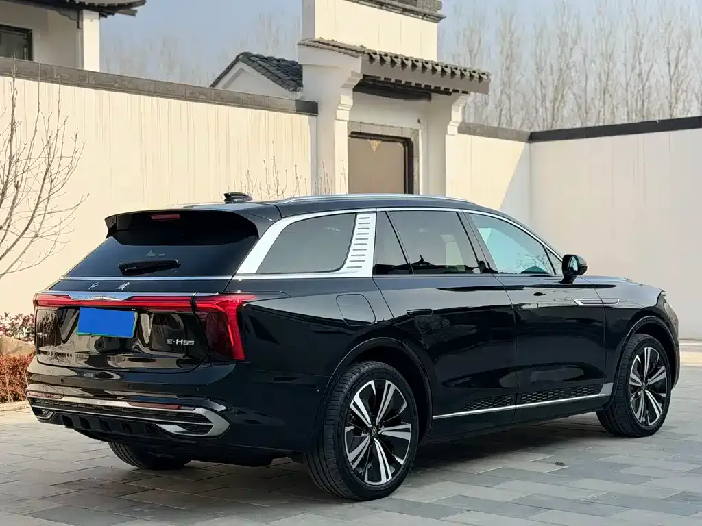 Hongqi E-HS9 — фото 9