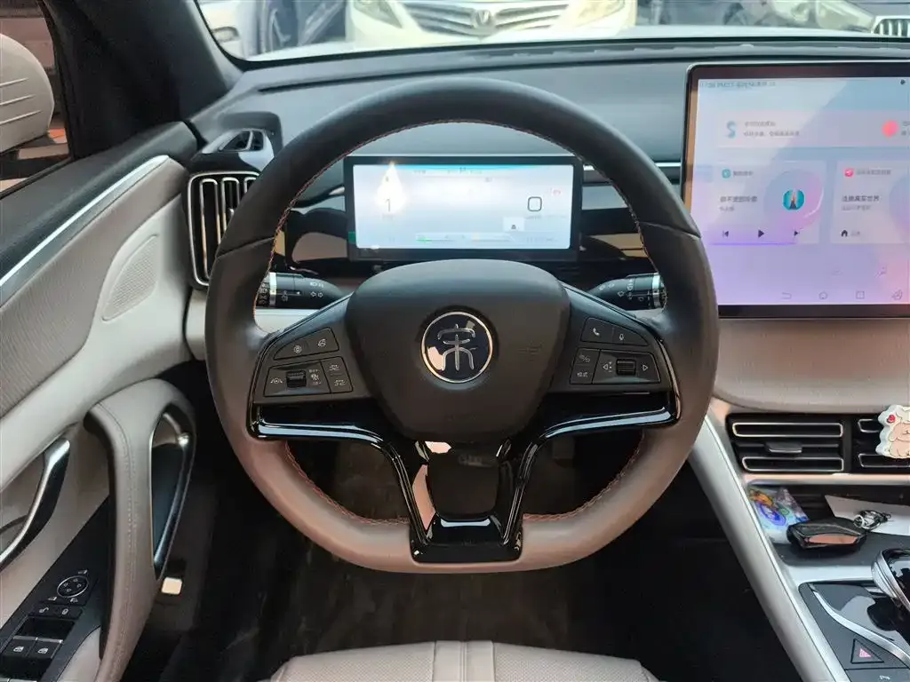 BYD Pro New Energy — фото 3