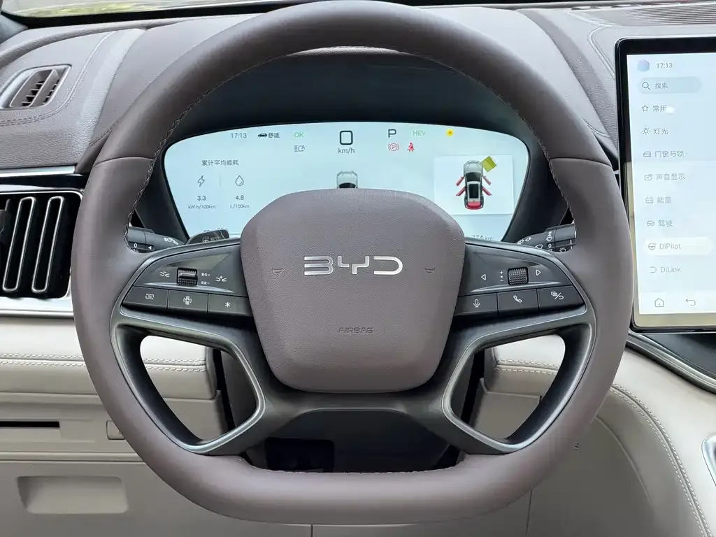 BYD PLUS New Energy — фото 7
