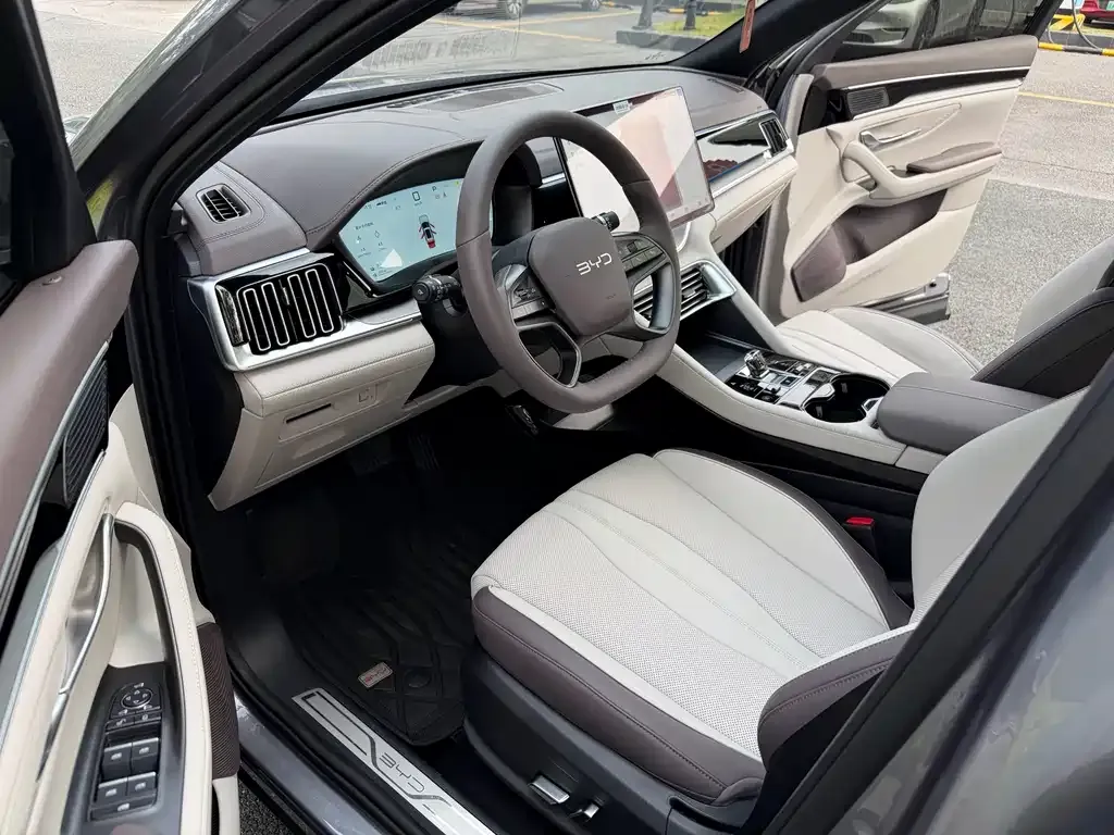 BYD PLUS New Energy — фото 8