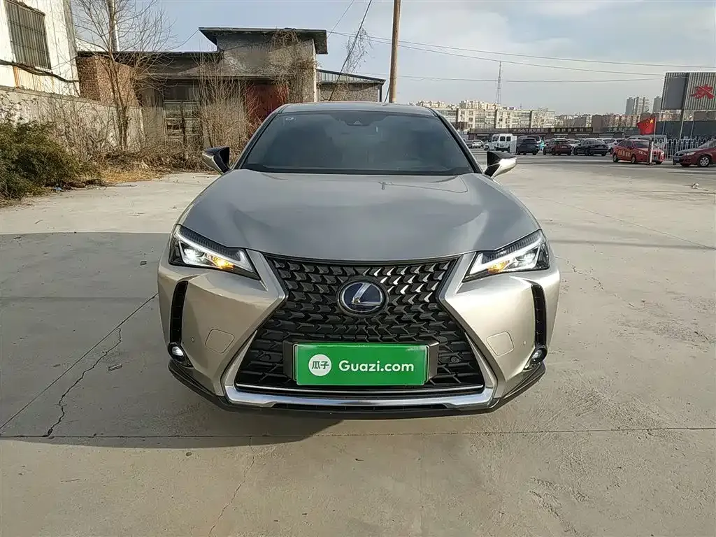 Lexus UX New Energy — фото 7