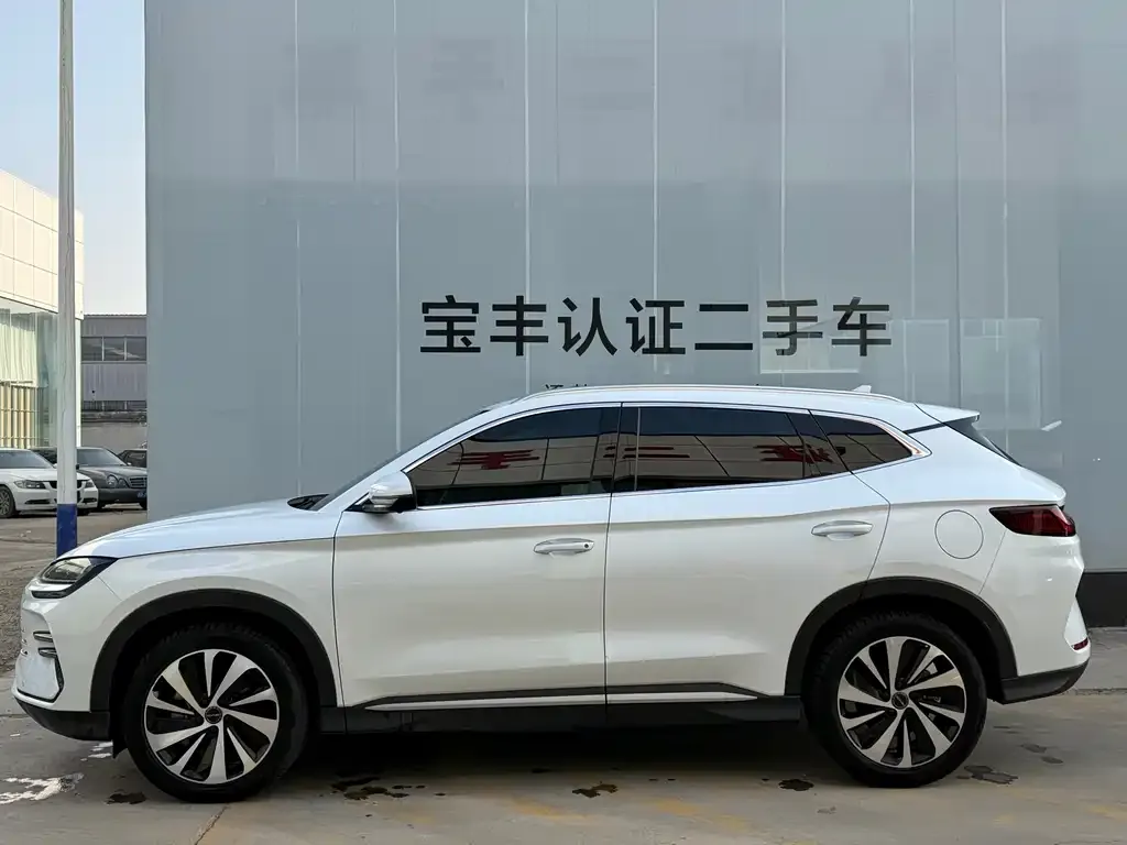 BYD PLUS New Energy — фото 2
