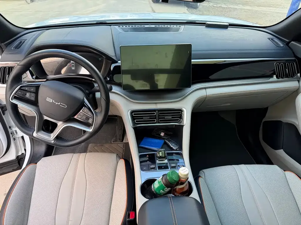 BYD PLUS New Energy — фото 10