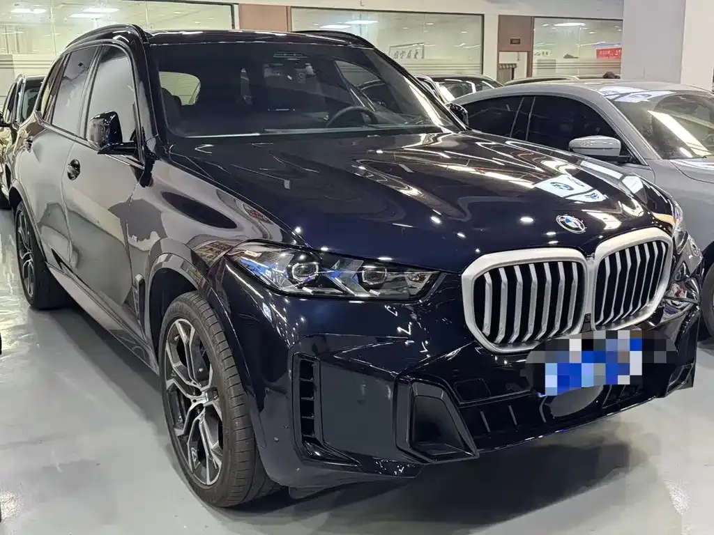 BMW X5 — фото 10