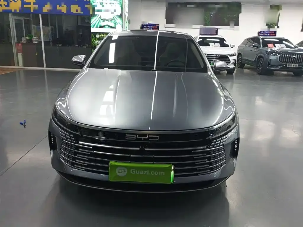 BYD Destroyer 05 — фото 10