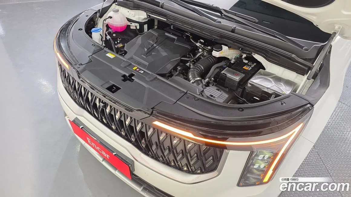 Kia Carnival — фото 10