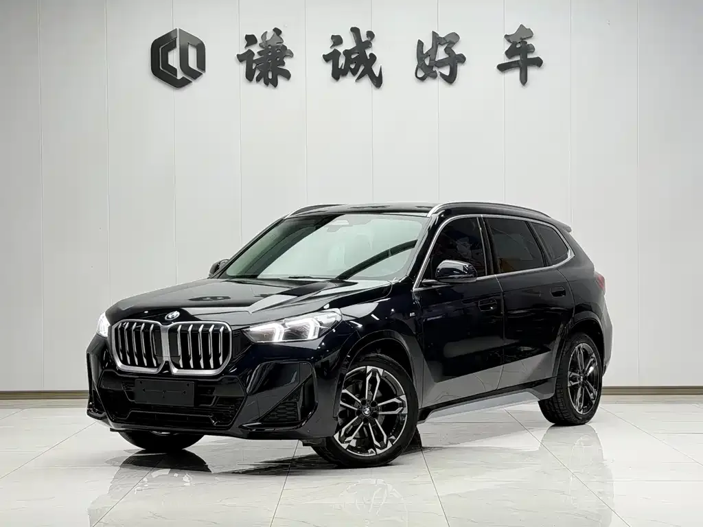 BMW X1 — фото 1