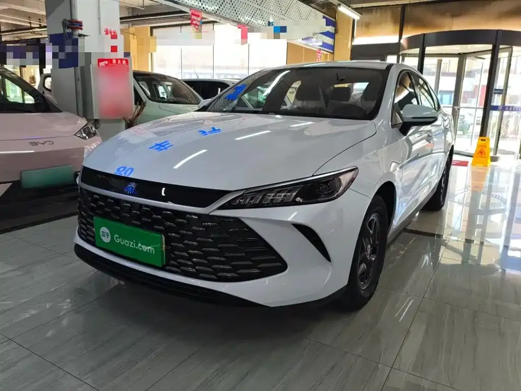 BYD Qin PLUS — фото 1