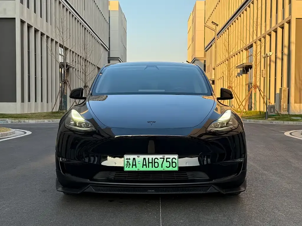 Tesla Model Y — фото 1