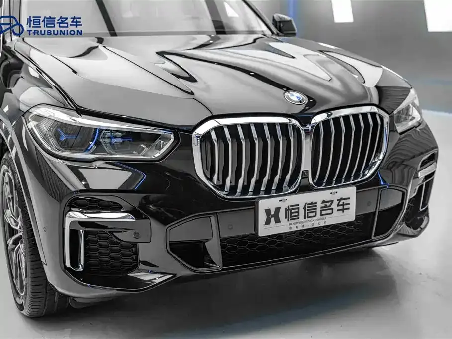 BMW X5 — фото 10