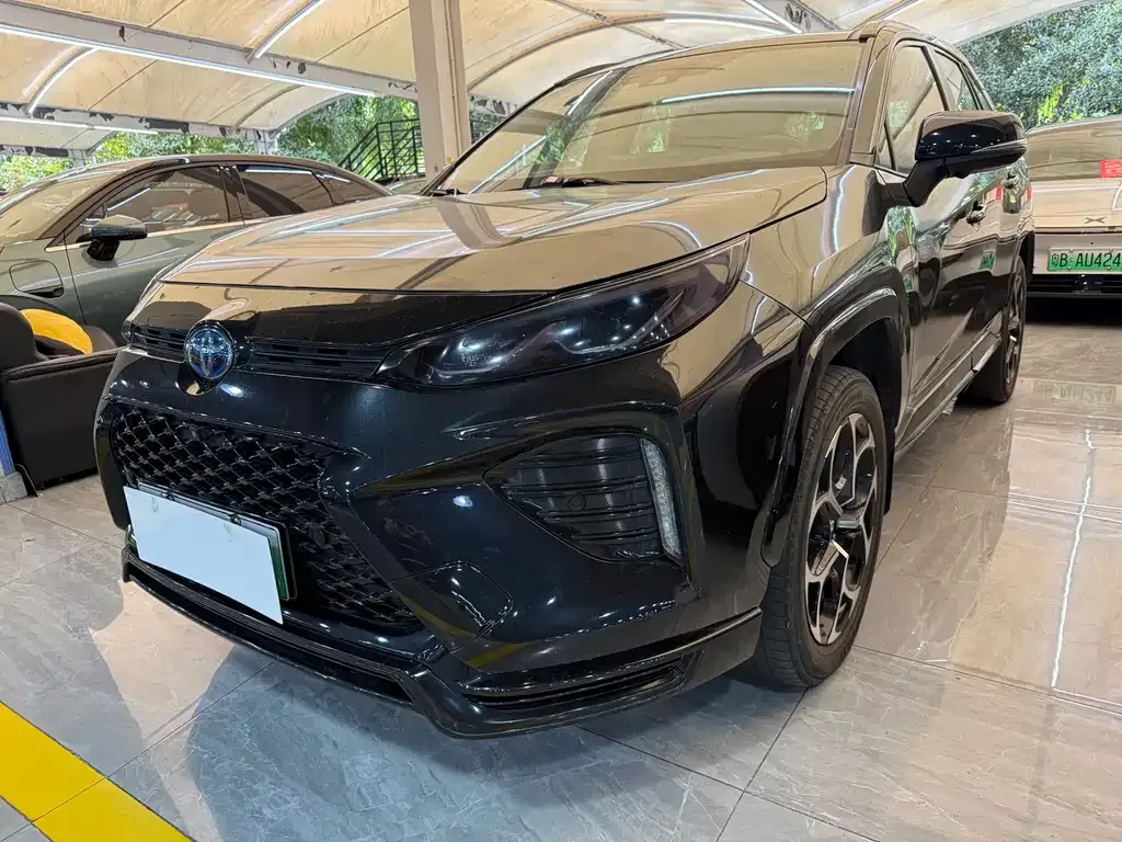 Toyota Wildlander New Energy — фото 1