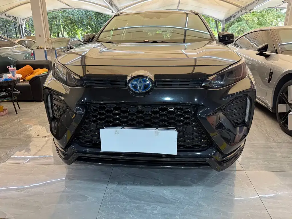 Toyota Wildlander New Energy — фото 7