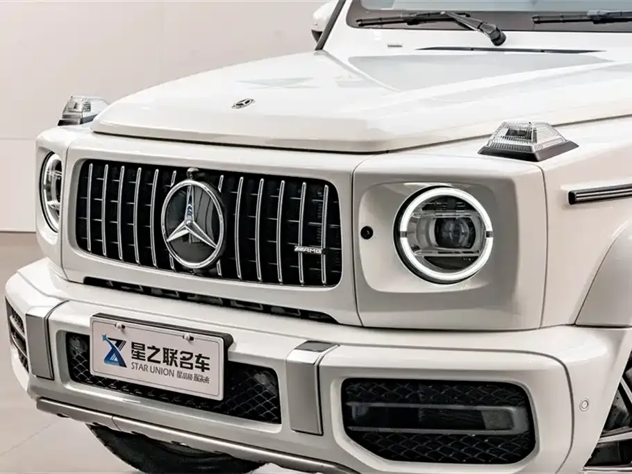 Mercedes-Benz G-Class — фото 10