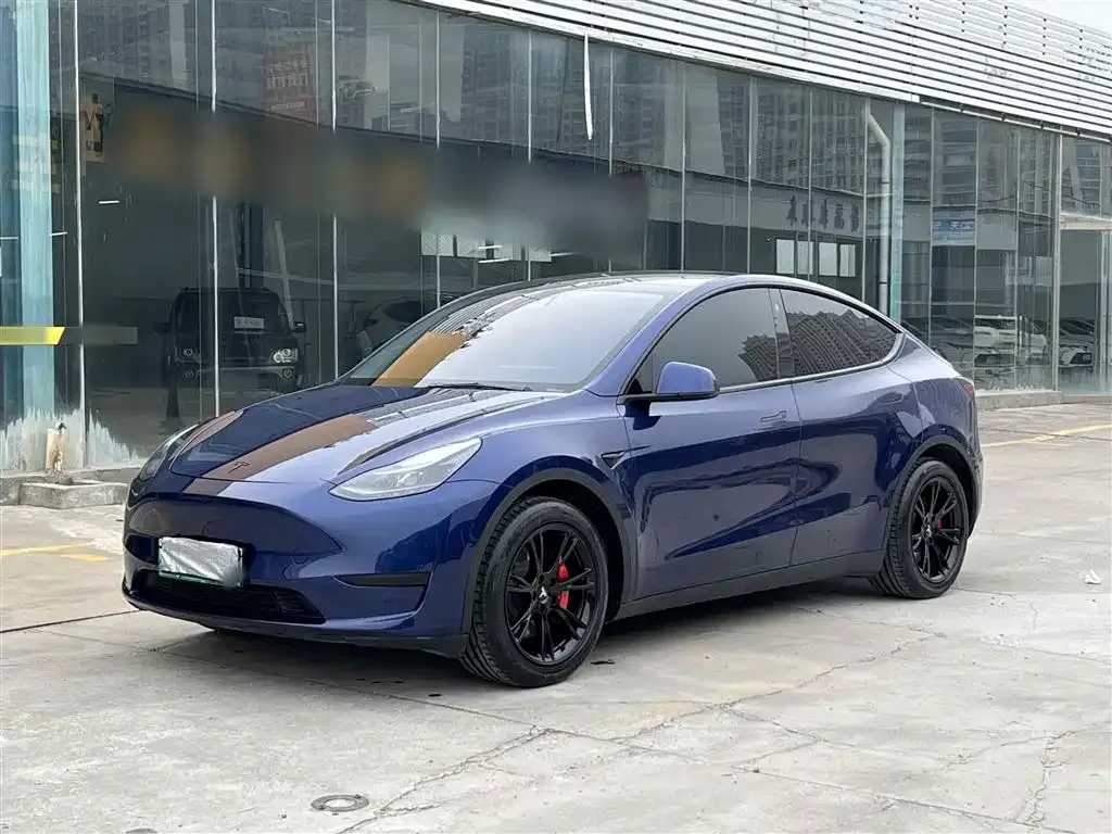 Tesla Model Y — фото 1