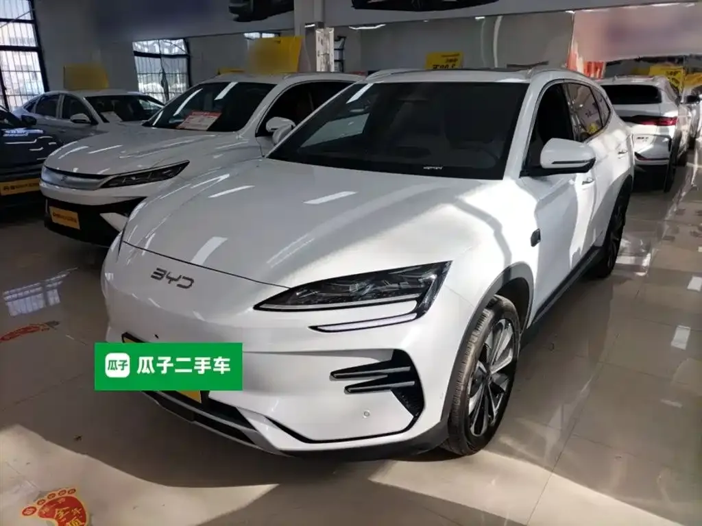 BYD PLUS New Energy — фото 1