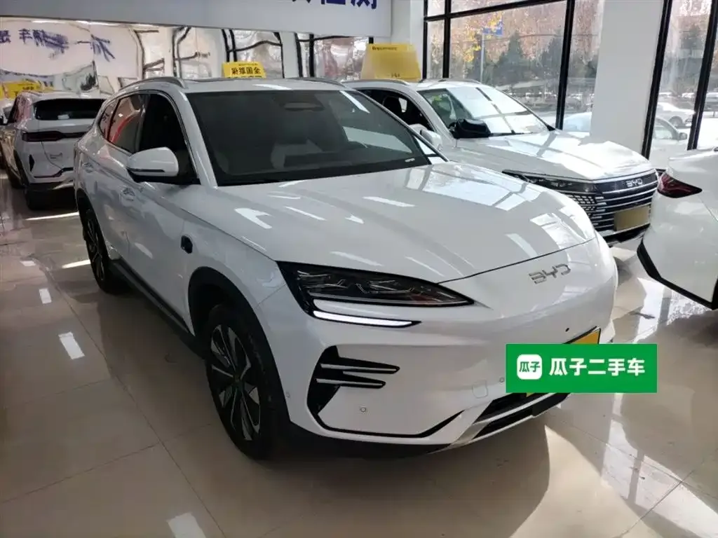 BYD PLUS New Energy — фото 4