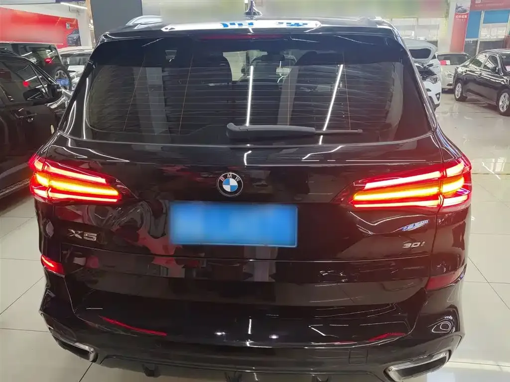 BMW X5 (Import) — фото 6